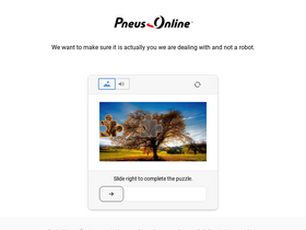 'neumaticos-pneus-online.es' screenshot