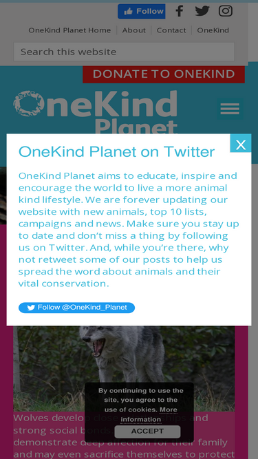 onekindplanet.org