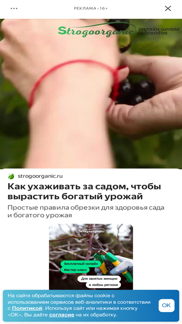kbr.mk.ru