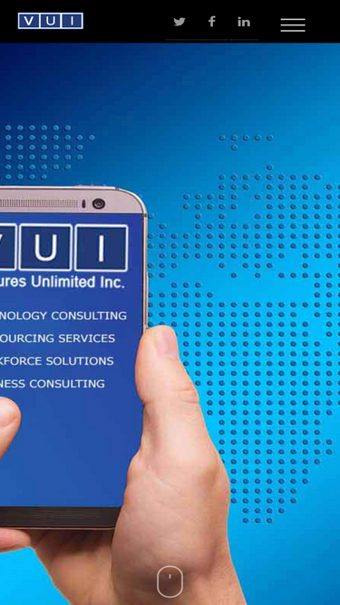 vui-inc.com