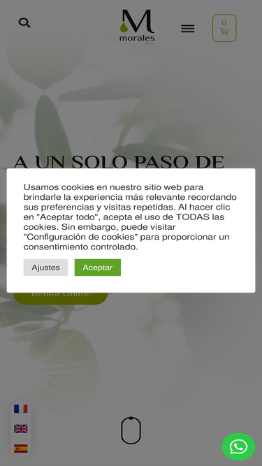 aceitesmorales.com