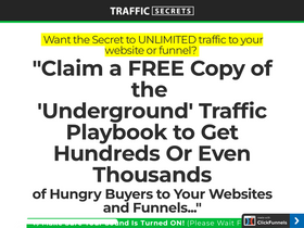 'trafficsecrets.com' screenshot
