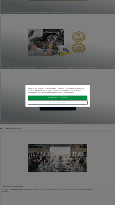 schaeffler.com.br