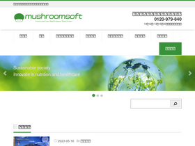 msrsoft.com