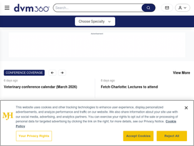 veterinaryteam.dvm360.com