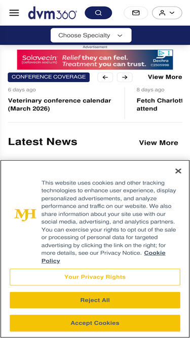 veterinaryteam.dvm360.com