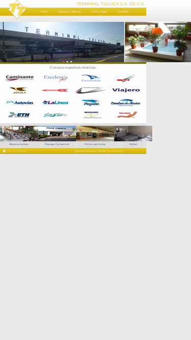terminaltoluca.com.mx