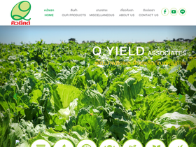 qyield.com