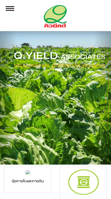 qyield.com