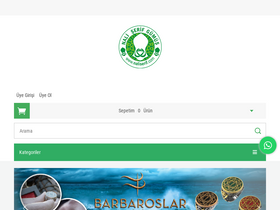 'naliserif.com' screenshot