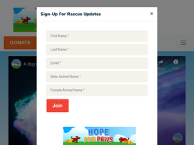 'hopeforpaws.org' screenshot