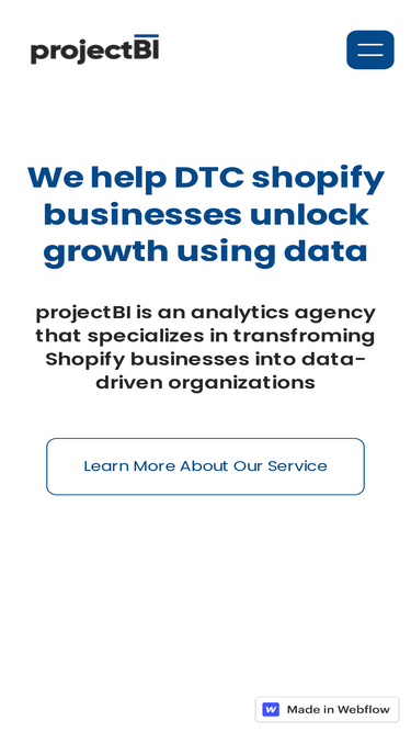 projectbi.net