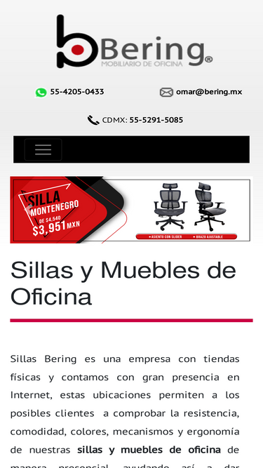bering.mx