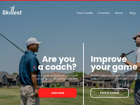 'skillest.com' screenshot