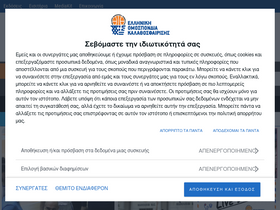 'basket.gr' screenshot