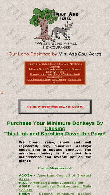 miniaturedonkeys.net