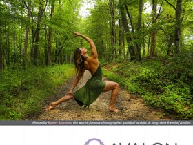 avalonyoga.com