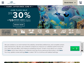 'discoverycove.com' screenshot