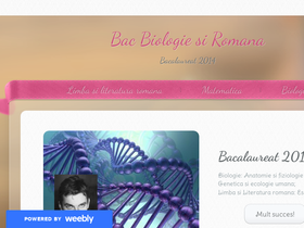 bacbioro.weebly.com