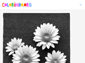 'colorindo.org' screenshot