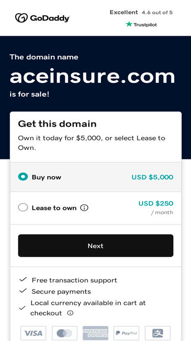 aceinsure.com