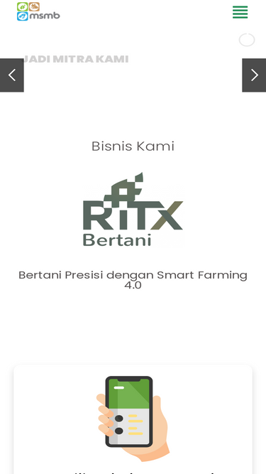 msmbindonesia.com