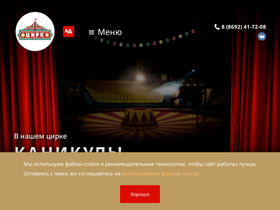 'circus-sevastopol.ru' screenshot