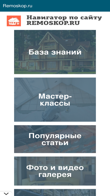 remoskop.ru
