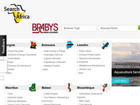 'searchinafrica.com' screenshot