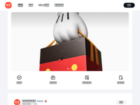 'xiaomi.cn' screenshot