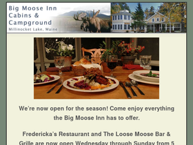 bigmoosecabins.com