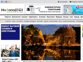 'netall.ru' screenshot