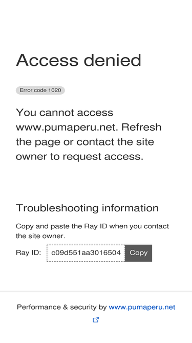 pumaperu.net