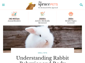 'thesprucepets.com' screenshot