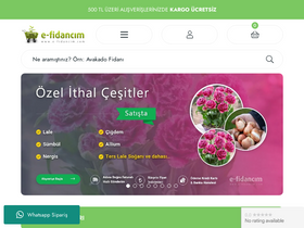 'e-fidancim.com' screenshot