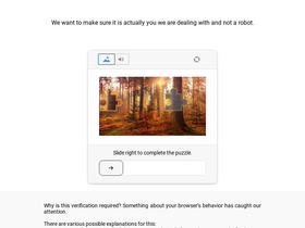 'dogdiscoveries.com' screenshot