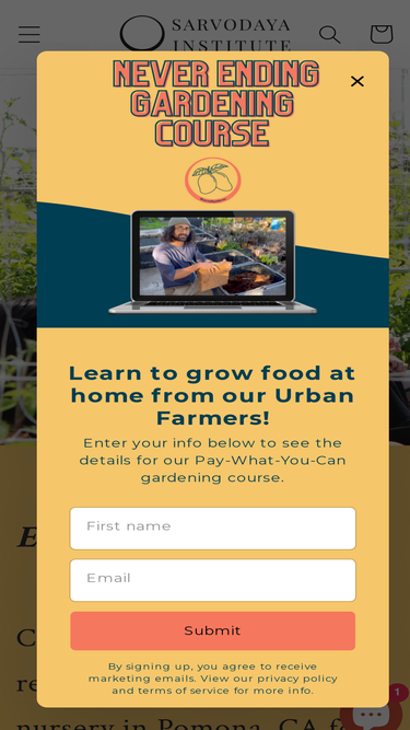 sarvodayainstitute.org