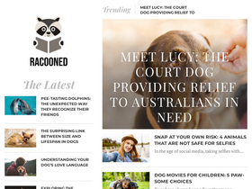 'racooned.com' screenshot