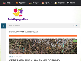 'frukti-yagodi.ru' screenshot