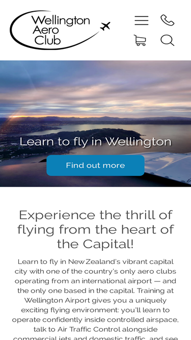 flywellington.co.nz