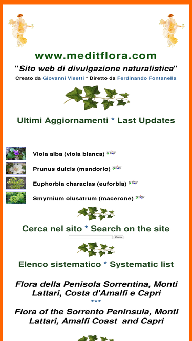 meditflora.com