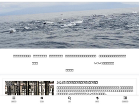 'turimomo.com' screenshot