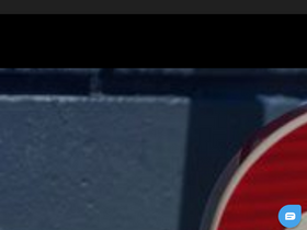 'artistguitars.com.au' screenshot