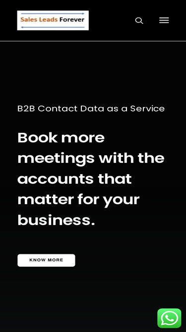 salesleadsforever.com