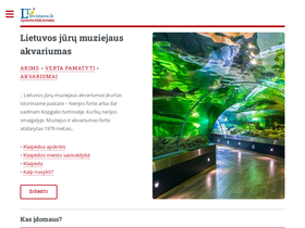 'ltvirtove.lt' screenshot