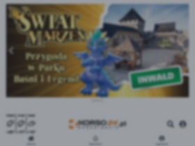 'korso24.pl' screenshot