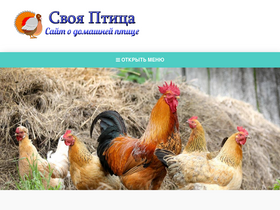 'svoya-ptica.com' screenshot