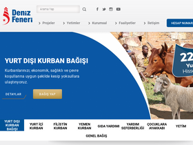 'denizfeneri.org.tr' screenshot