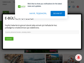 'yesilist.com' screenshot