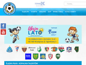 'slzpn.pl' screenshot